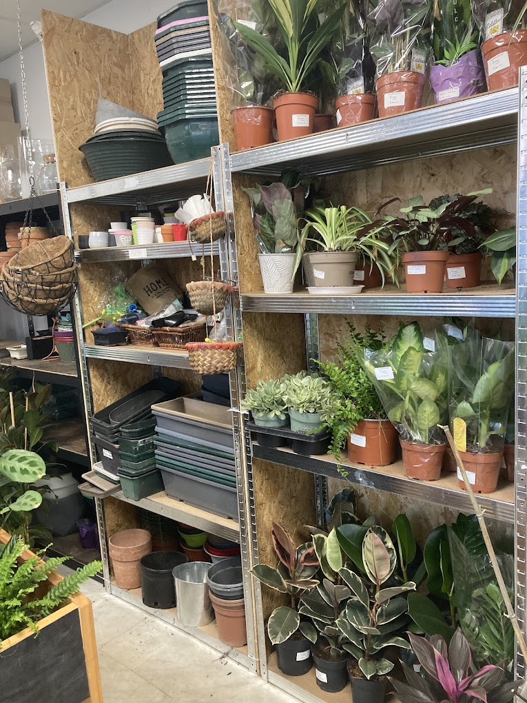 Plantes en exposition